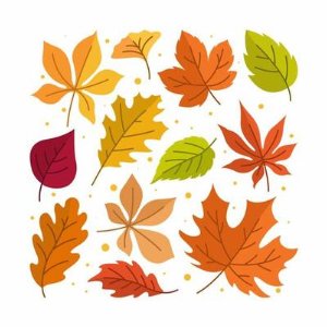 Red Ribbon Week - Fall into kindness!